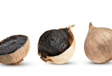 Rahasia Antioksidan Bawang Hitam, Pelindung Sel Tubuh dari Radikal Bebas
