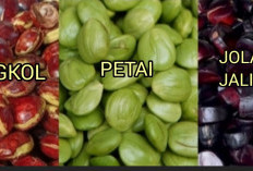 Tiga Lalapan Beraroma Kuat: Petai, Jengkol, dan Jolang-Jaling, Serupa Tapi Tak Sama!