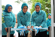 Feby Herman Deru Resmikan Warung PKK Lubuk Linggau, Dorong UMKM Naik Kelas
