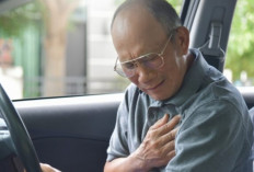 Serangan Jantung Saat Mengemudi? Ini 4 Langkah Penyelamat Nyawa yang Wajib Dilakukan