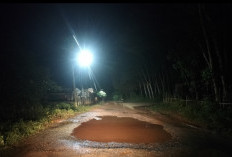 Tanjakan Pematang Pelajau Banyuasin Kian Mengkhawatirkan, Lubang Dalam Ancam Keselamatan Pengendara