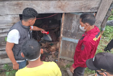 Jasad Lansia Ditemukan di Gubuk