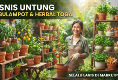 Ide Bisnis Bibit Tanaman Buah Tabulampot dan Tanaman Herbal Toga yang Selalu Laris di Marketplace