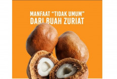 Manfaat Tidak Umum dari Buah Zuriat, Buah Eksotis yang Sarat Khasiat Tersembunyi