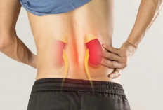 Waspada! 6 Tanda Tak Umum Gangguan Ginjal yang Sering Dianggap Sepele