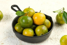 Jeruk Sonkit: Si Asam Segar yang Penuh Khasiat untuk Kesehatan Tubuh