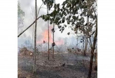 Kebakaran Lahan Kembali Terjadi, Kebun Karet Warga Dilalap Api