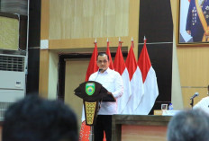 Ketegori Baik: Nilai Indeks Demokrasi Indonesia Sumsel 2024 Capai 82,71