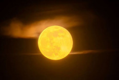 Fenomena Supermoon Membuat Bulan Tampak Lebih Besar dan Terang