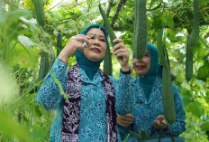 Ketua TP PKK Sumsel Feby Deru Dorong Kebun Wisata dan Desa Percontohan Saat Kunjungan ke OKI