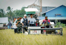 Wamen Transmigrasi Turun Langsung Panen Raya di Banyuasin, Salurkan Bantuan Rp100 Juta