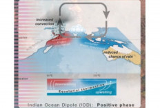 Langit Cerah Berkepanjangan, Waspada IOD: Fenomena Tersembunyi di Balik Kemarau Ekstrem