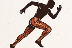 Tren Lari Meningkat, Masyarakat Kian Sadar Pentingnya Hidup Sehat