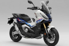 Gagah dan Bertenaga, Honda X-ADV 750 Beri Sensasi Riding Matic dan Manual Sekaligus