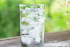 Jarang Minum Air Putih? Ini Dampak Buruknya bagi Kesehatan Tubuh