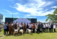 CSR Hewan Qurban, PT Tirta Fresindo Jaya Salurkan 9 Ekor Kambing untuk Warga Sekitar