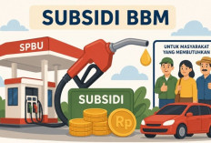 Pemerintah Kaji Ulang Subsidi Energi demi Stabilitas Ekonomi Nasional