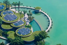 Atap Hijau, Lanskap Air, dan Panel Surya: Rahasia Desain Cerdas Lotus Clubhouse