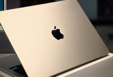 Laptop untuk Content Creator Makin Diminati, Ini Pilihan Terbaik Tahun 2026