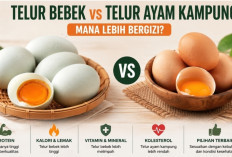 Telur Bebek vs Telur Ayam Kampung: Adu Protein, Vitamin, Kolesterol, dan Manfaatnya