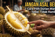 Jangan Asal Beli! Ini 7 Cara Memilih Durian Manis, Tebal, dan Tidak Hambar