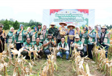 Panen Raya Jagung Serentak, Polres Banyuasin Turut Perkuat Posisi Lumbung Pangan Nasional