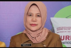 Kadis Sosial Banyuasin Mundur Pensiun Dini, Ini Alasannya