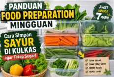 Rahasia Ibu Cerdas! Begini Cara Simpan Sayur di Kulkas agar Tetap Segar Seminggu Penuh