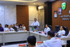 Sekda Sumsel Tekankan Pengelolaan Sumber Daya Air Berkelanjutan