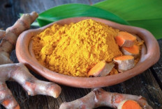 Temulawak, Imunomodulator Alami untuk Daya Tahan Tubuh yang Lebih Kuat