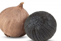 Musim Pancaroba Datang? Bawang Hitam Bisa Jadi Tameng Alami Tubuhmu!