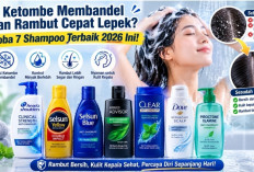 Ketombe Membandel dan Rambut Cepat Lepek? Coba 7 Shampoo Terbaik 2026 Ini