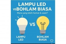 Lampu LED vs Lampu Bohlam Biasa, Mana yang Lebih Awet dan Hemat?