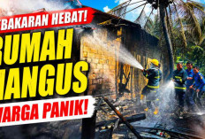 Api Mengamuk di Pangkalan Balai, Damkar Banyuasin Bergerak Cepat Cegah Kebakaran Meluas