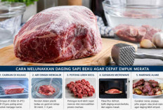 Cara Melunakkan Kembali Bongkahan Daging Sapi Beku dari Freezer Agar Cepat Empuk Merata Tanpa Merusak Nutrisi