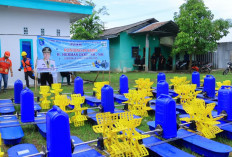 Herman Deru Optimalkan Tambak Udang OKI, Serahkan Kincir dan Perkuat Infrastruktur Listrik untuk Go Export