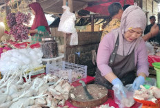 Harga Ayam Broiler Tembus Rp45 Ribu, Emak-emak di Pangkalan Balai Mengeluh