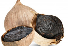 Tak Sekadar Bumbu Dapur, Bawang Hitam Disebut Punya Khasiat Anti-Kanker!