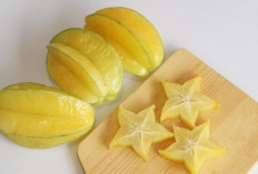 Belimbing Ternyata Punya Khasiat Luar Biasa, Nomor 3 Jarang Diketahui!