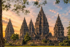 5 Kota di Indonesia yang Cocok untuk Kuliah Sekaligus Cari Pengalaman Kerja
